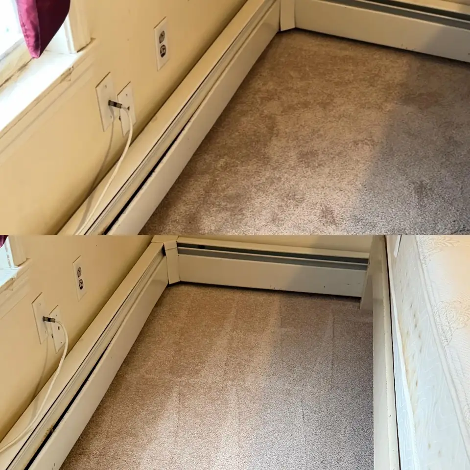 Before and after cleaning of a carpet edge near baseboards by LuHe Carpet Cleaning
