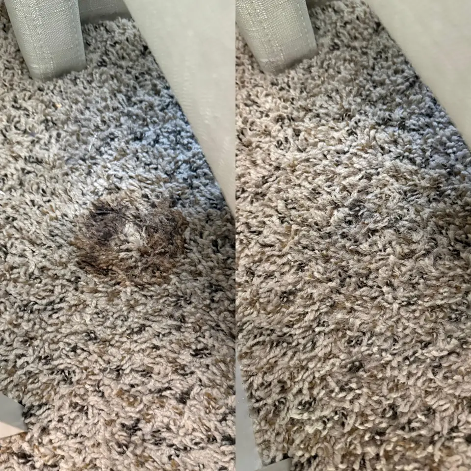 Before and after carpet stain removal by LuHe Carpet Cleaning in Shrewsbury, MA
