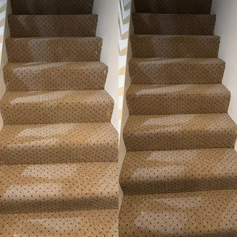 Before and after close-up of stair carpet cleaning by LuHe Carpet Cleaning